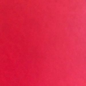 Meet your Posher, Lindsay